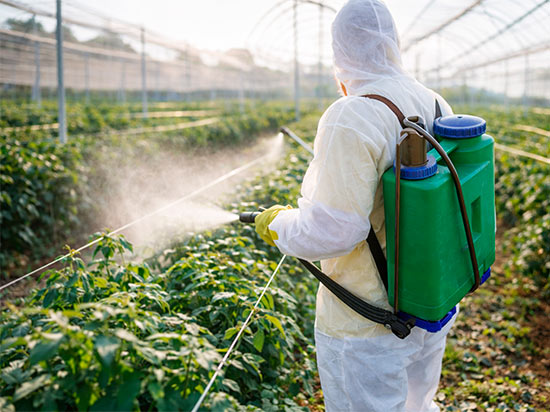Nivel Fumigador en Uso de Productos Fitosanitarios